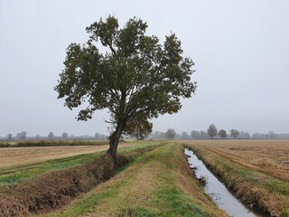 Villanova d'Ardenghi (Pavia)