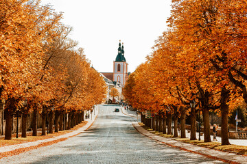 Herbstallee in Fulda 
