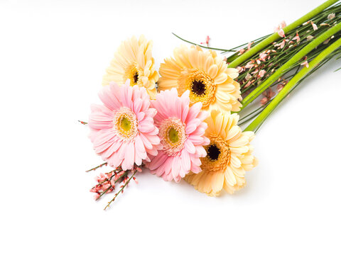 Beautiful Pastel Pink And Orange Gerbera Bouquet Isolated On White Background. Giving Flowers For Womens, Mothers Day.