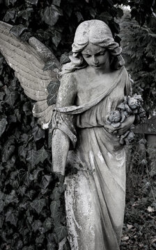 Woman angel with a look of mercy. Good and evil	
