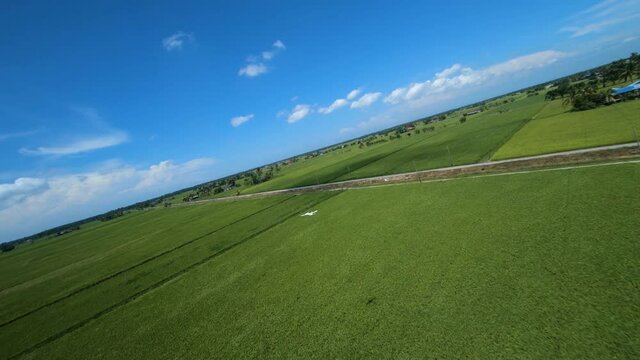 fast movement of aerial drone shot of green paddy field