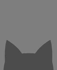 猫　模様　背景