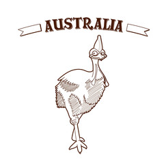 Australia day, hand drawn of cassowary
