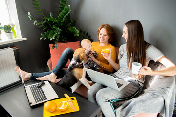 Naklejka premium happy family - grandmother, daughter, newborn baby and dog rest in the living room on the couch
