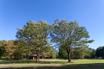 野川公園（東京都三鷹市）