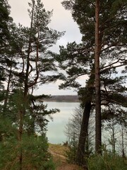 Obraz premium lake in the woods