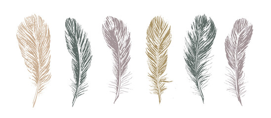 Feathers set on white background. Hand drawn sketch style.	