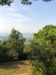 Bosphorus view from Camlica hill, Istanbul, 2020