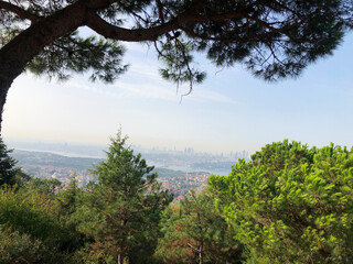 Fototapeta na wymiar Bosphorus view from Camlica hill, Istanbul, 2020