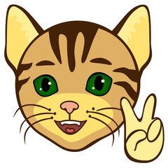 cat with a 