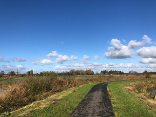 Bicycle path through a nature reserve around Wolvega