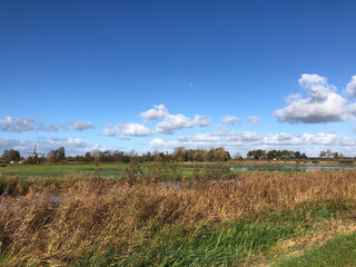 Nature reserve with a windmill around Wolvega
