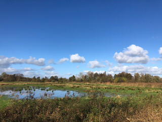 Nature reserve around Wolvega