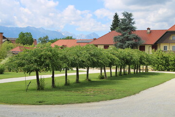 village on the hill