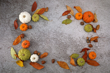 Thanksgiving or harvest background with pumpkins and autumnal leaves on cement background