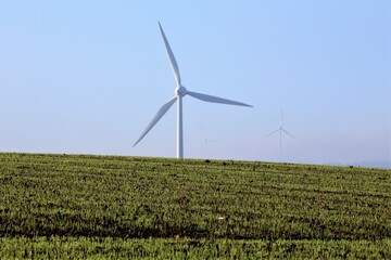 wind turbines farm
