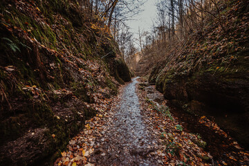 Drachenschlucht in Thüringen bei Eisenach im Herbst