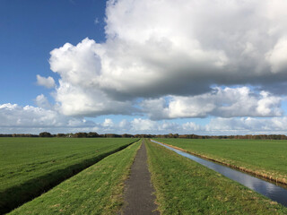 Fototapeta na wymiar Path through grassland towards Nieuwehorne