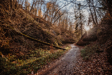 Drachenschlucht in Thüringen bei Eisenach im Herbst