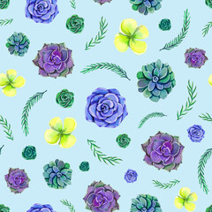 Colorful watercolor succulents seamless pattern on light blue background. Hand drawn botanical illustration with succulent and leaves.