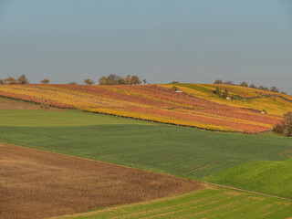 Weinberge im Herbst