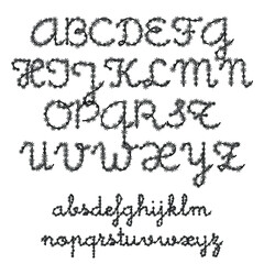 Alphabet letters font. Typography fonts regular uppercase and lowercase. Eps10 vector illustration.