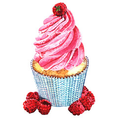 Hand drawn watercolor cupcake with raspberry on white background.