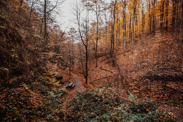 Drachenschlucht in Thüringen bei Eisenach im Herbst