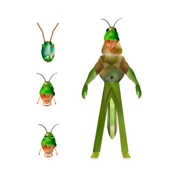 The grasshopper man. Fantasy superhero.