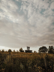 combine harvester in the field