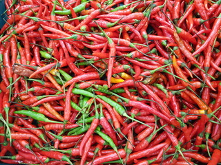 red hot chili peppers