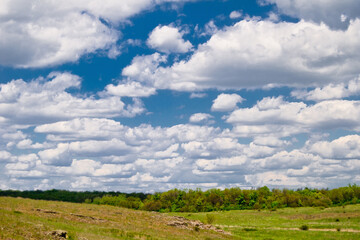 Fototapeta na wymiar Beautiful field with forest in background and blue cloudy sky - summer or spring landscape