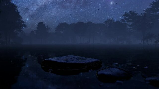 Pebbles on a lake surrounded by forest against milky way and starry sky.mov