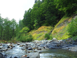 A stormy mountain river in Abkhazia