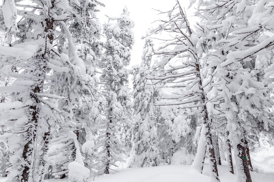 Winter landscape. Zyuratkul national Park, Chelyabinsk region, South Ural, Russia. © Anton Buymov