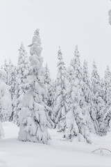 Winter landscape. Zyuratkul national Park, Chelyabinsk region, South Ural, Russia.