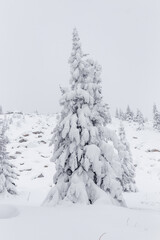Fototapeta premium Winter landscape. Zyuratkul national Park, Chelyabinsk region, South Ural, Russia.