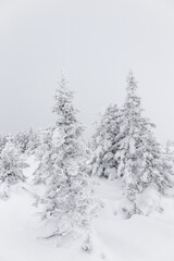 Obraz premium Winter landscape. Zyuratkul national Park, Chelyabinsk region, South Ural, Russia.