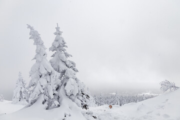 Winter landscape. Zyuratkul national Park, Chelyabinsk region, South Ural, Russia.