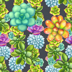 Seamless pattern with succulents. Beautiful floral print.