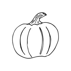 Doodle pumpkin. Hand-drawn images. Vector for posters, web, textiles, children's coloring pages.