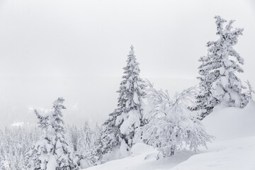 Naklejka premium Winter landscape. Zyuratkul national Park, Chelyabinsk region, South Ural, Russia.
