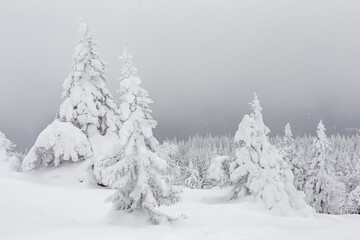 Winter landscape. Zyuratkul national Park, Chelyabinsk region, South Ural, Russia