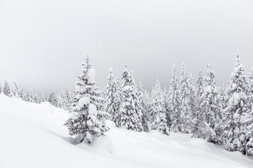 Winter landscape. Zyuratkul national Park, Chelyabinsk region, South Ural, Russia