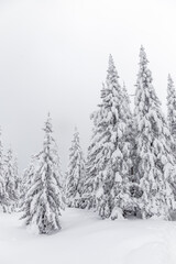 Fototapeta premium Winter landscape. Zyuratkul national Park, Chelyabinsk region, South Ural, Russia