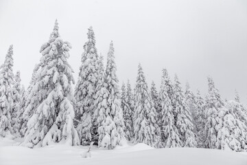 Winter landscape. Zyuratkul national Park, Chelyabinsk region, South Ural, Russia