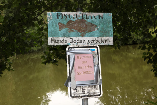 Schild an einem Fischteich mit der Aufschrift "Hunde baden verboten", Betreten der Eisfläche verboten" 