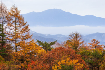 日本の百名山・10月の八ヶ岳・山梨