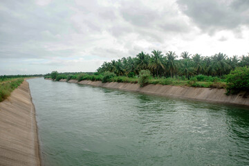water supply channel through coconut farm