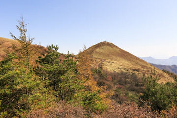 Fototapeta na wymiar 10月の野辺山高原ハイキング・山梨、日本